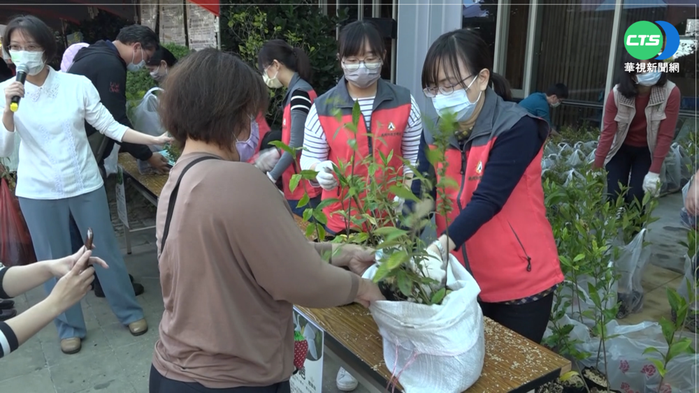 【台語新聞】緩解全球暖化! 林務局培育原生種樹苗