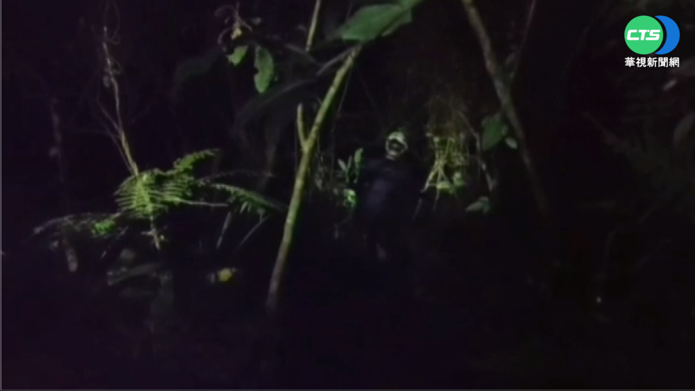 13大學生結伴攻砂婆礑山 迷航受困急求援