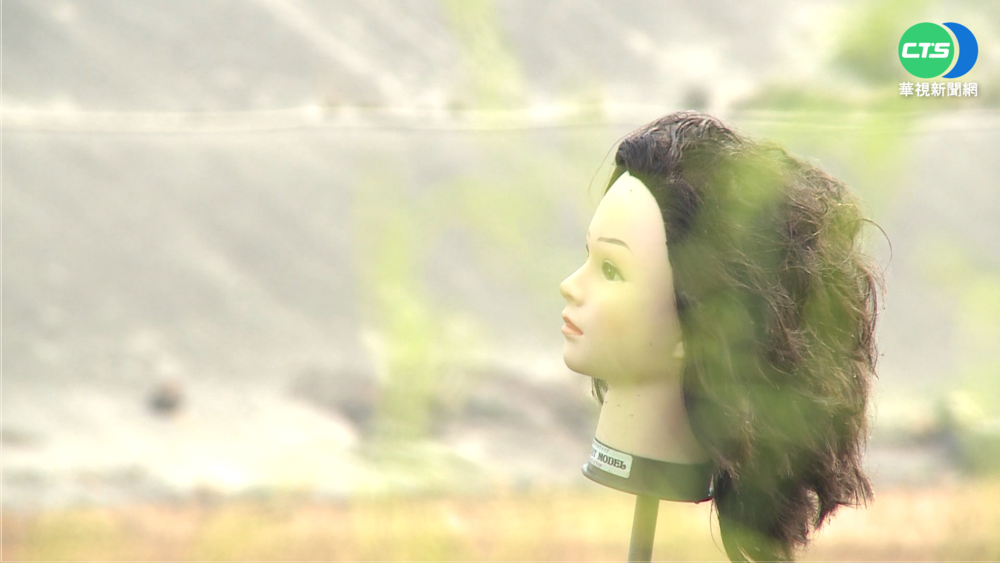 嚇壞! 竹塘木棉花美景旁 架20顆假人頭