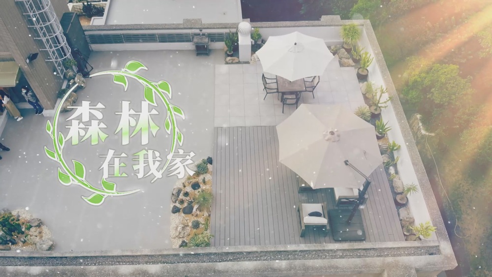 森林在我家｜歡迎光臨 植人綠生活｜華視新聞雜誌