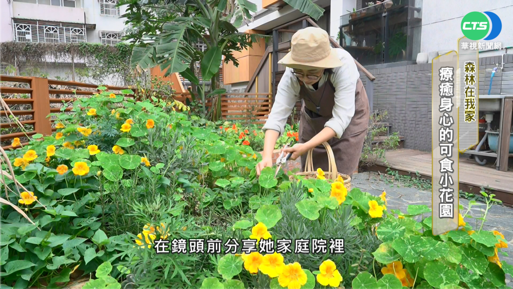 森林在我家! 歡迎光臨"植"人綠生活