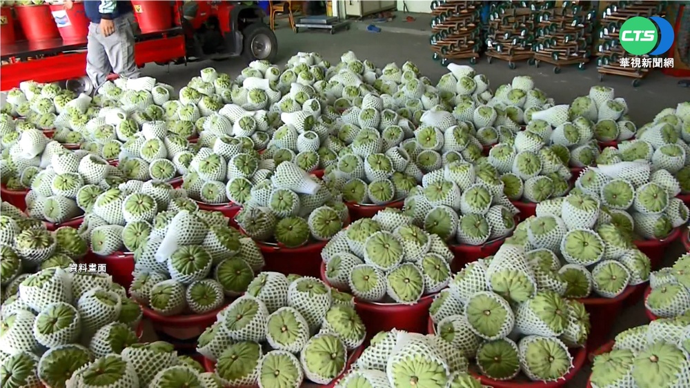 中國禁令影響 鳳梨.蓮霧.釋迦出口衰退