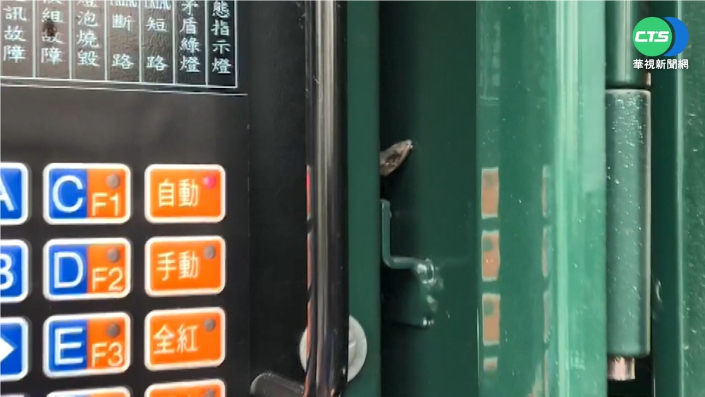 壁虎鑽箱遭電死 苗栗大湖號誌一度停擺
