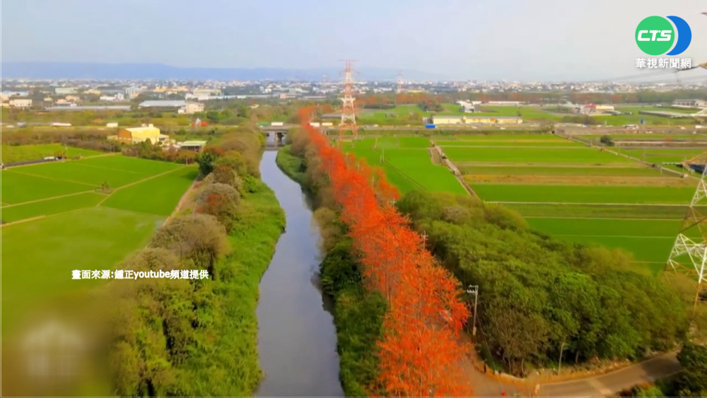 彰化鐵道櫻花季綻放 斥資千萬整建顧安全