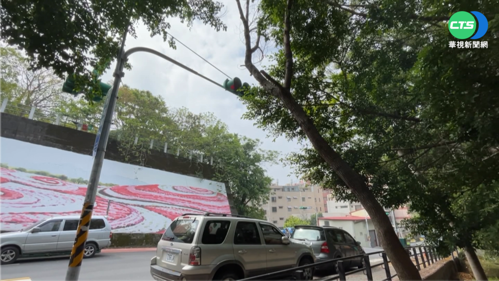 路口紅綠燈"對樹運作" 民眾傻眼:裝飾用?