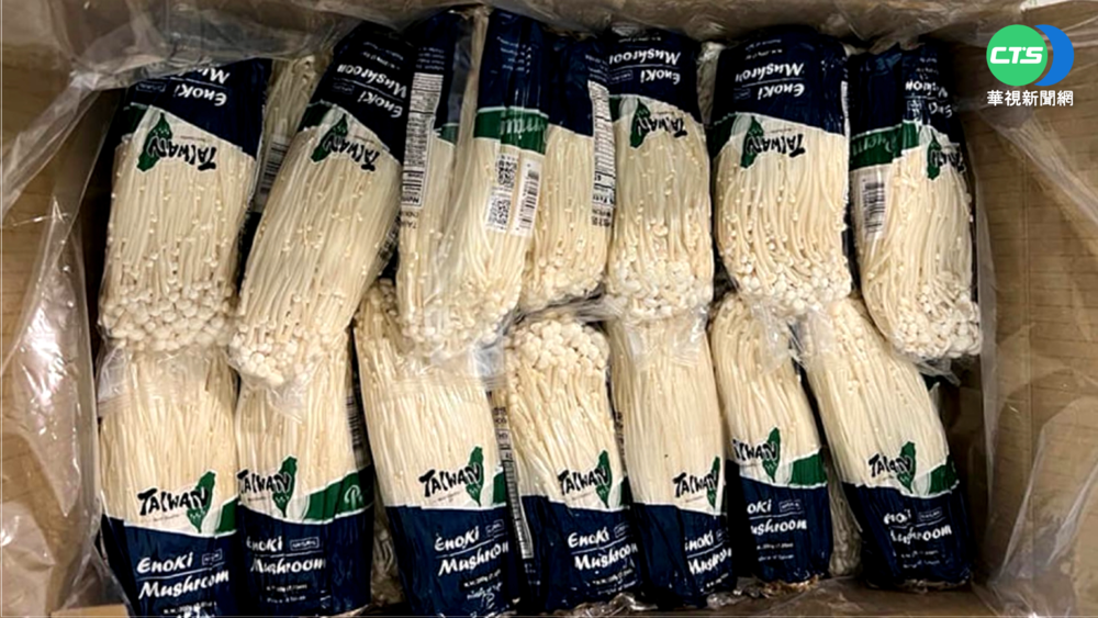 台金針菇外銷美 驗出致命"李斯特菌"