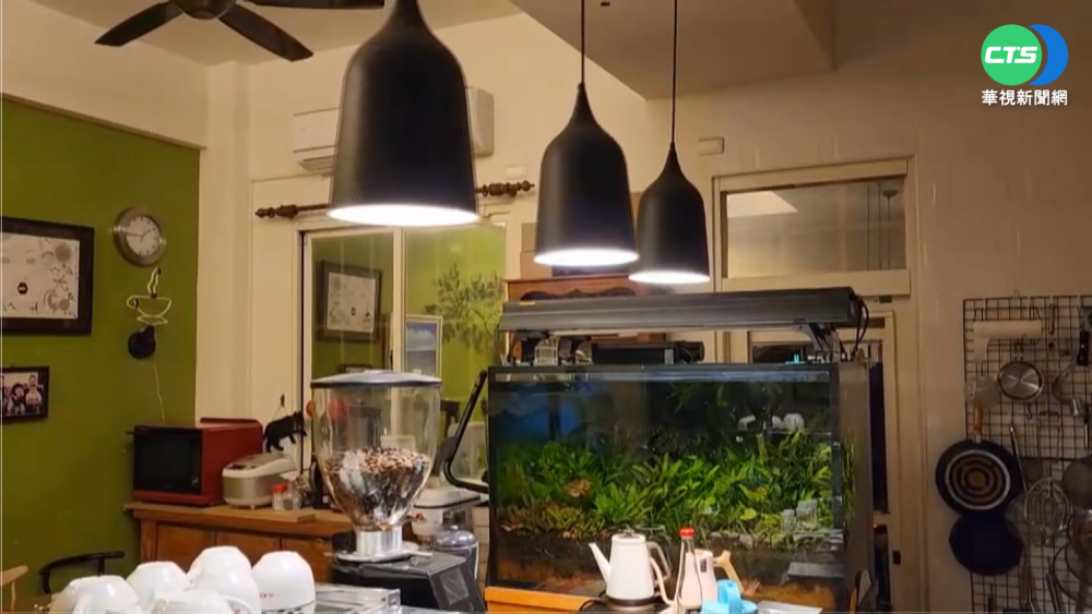 花蓮6.6強震49年最大 餘震恐長達1年