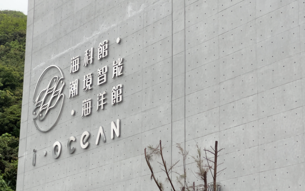 5G直播賞海底！海科館虛實結合打造「天然水族館」