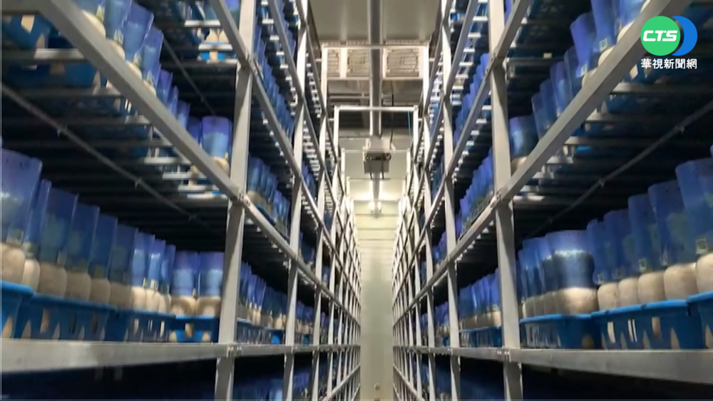 同農場!台第2批金針菇 美驗出李斯特菌