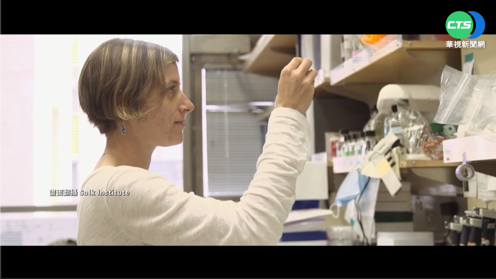 iPS細胞技術應用 專家估人未來可活150歲