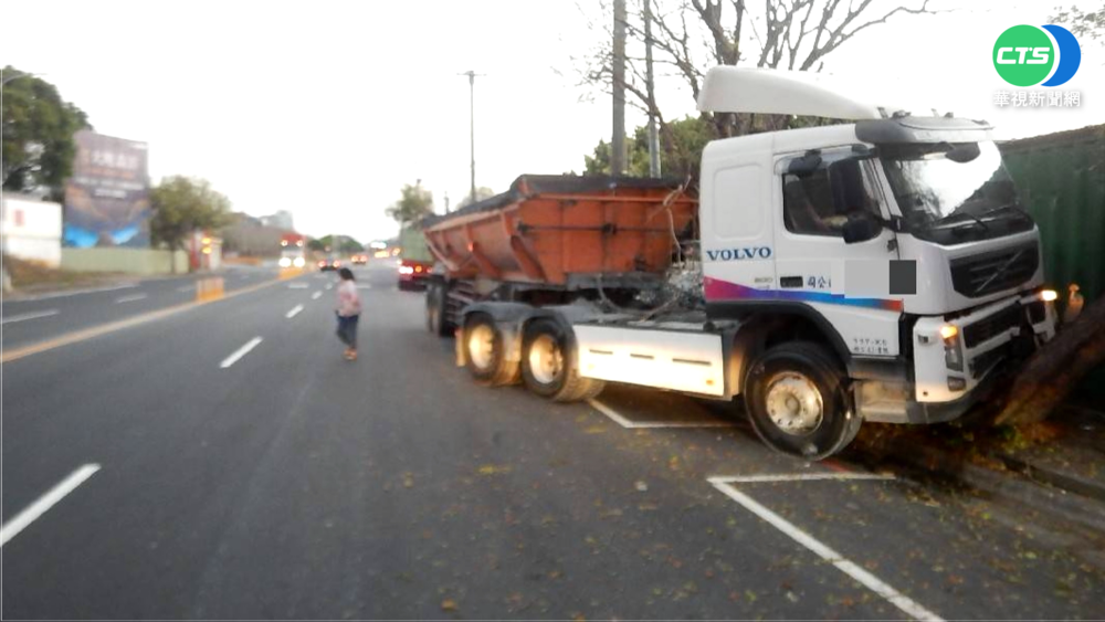 好厲害的紅火蟻! 害砂石司機昏迷撞路樹
