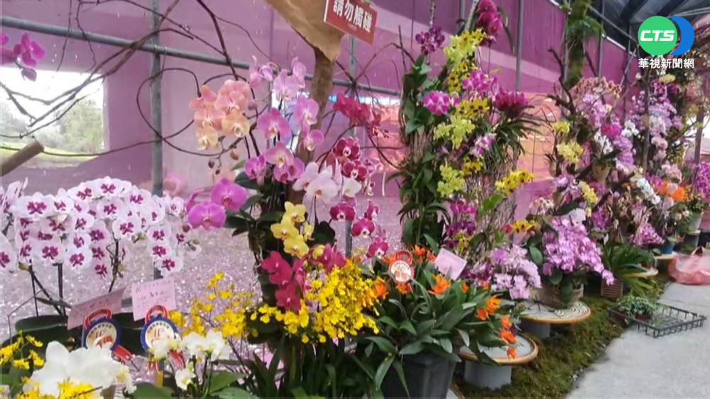 綠博開幕! 賞花.表演.遊戲設施一次體驗