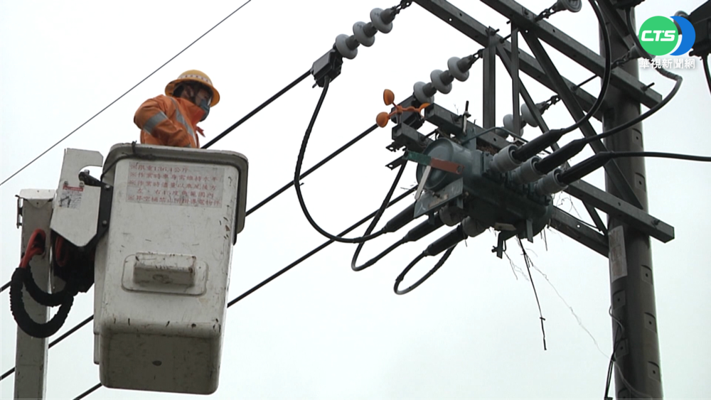 電桿鳥巢致冒煙 台電冒雨移除化危機
