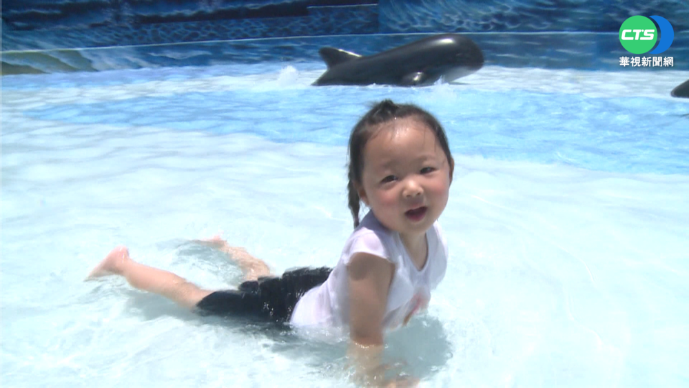 新竹兒藝節登場 百元暢遊海洋公園