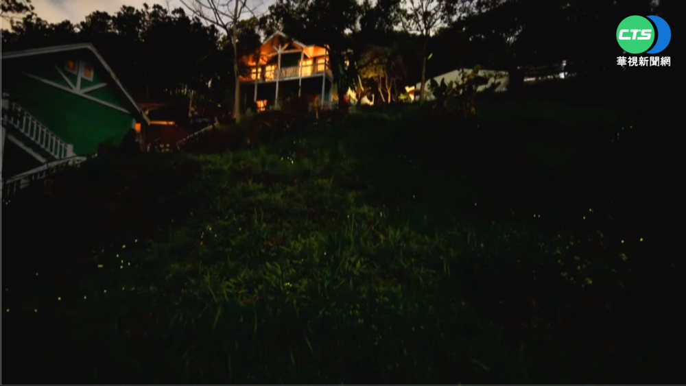 季節"螢"賓秀! 嘉義高雄"賞螢祕境"大公開