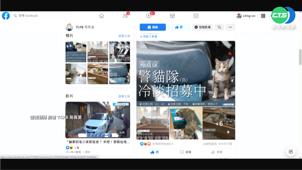 愚人節最"萌"玩笑! 台中招募"貓警隊"
