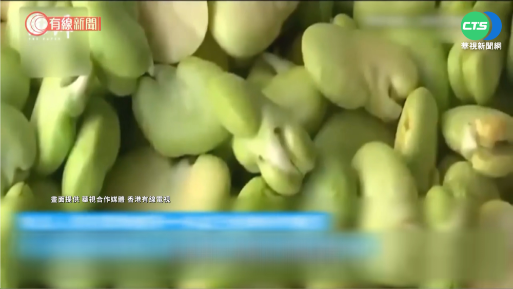 中國加工廠用嘴剝蠶豆 齒痕看得見