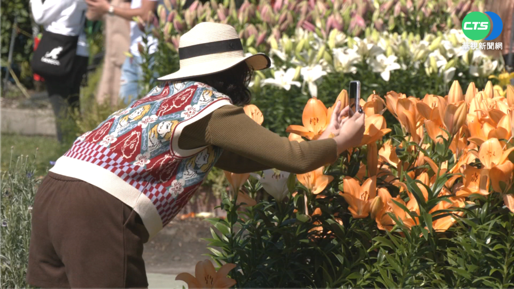 連假DAY3終放晴! 中部賞花景點湧人潮