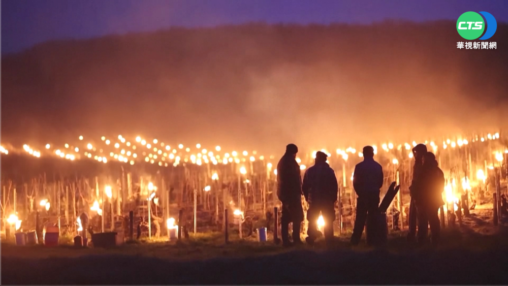 霜害襲法葡萄酒產地 農民點油燈驅寒