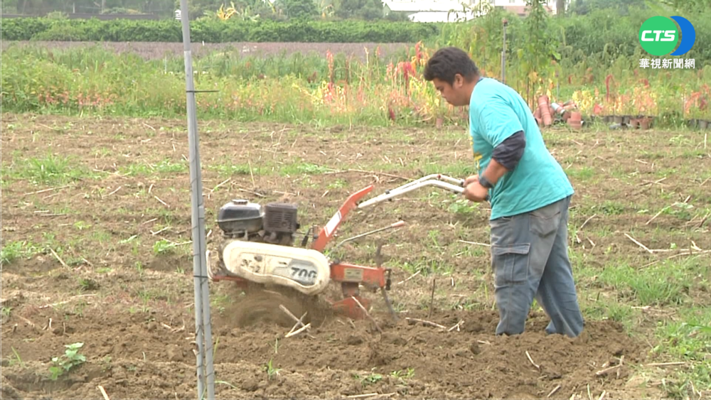 青農夫婦設庇護農場 助身障童學謀生!