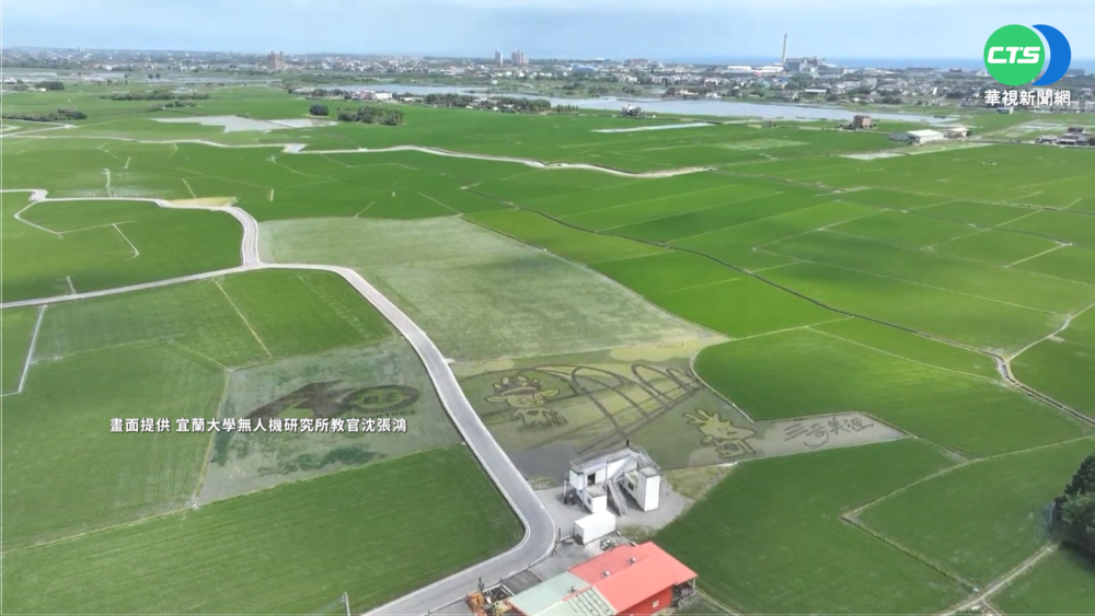 春季國旅哪"趣"? 宜蘭彩繪稻田療癒身心