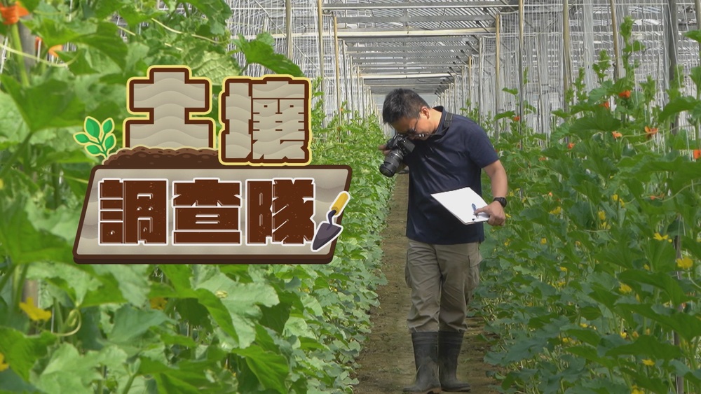 千瘡百孔 搶救土壤危機｜別讓大地哭泣｜華視新聞雜誌