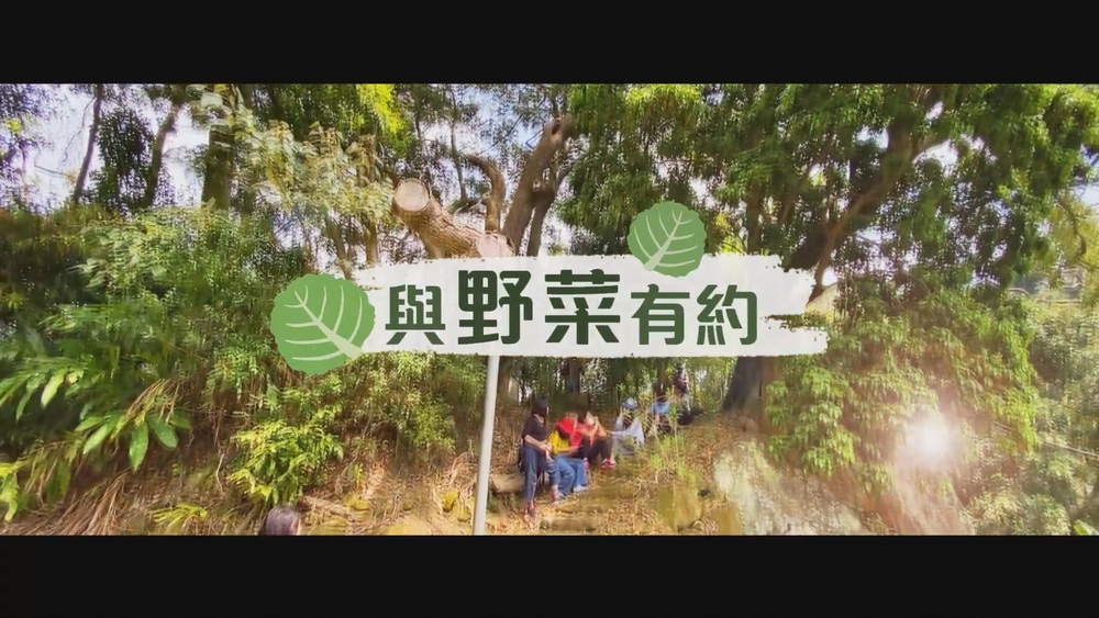 品味山林 挖掘綠色寶藏｜野菜復興運動｜華視新聞雜誌