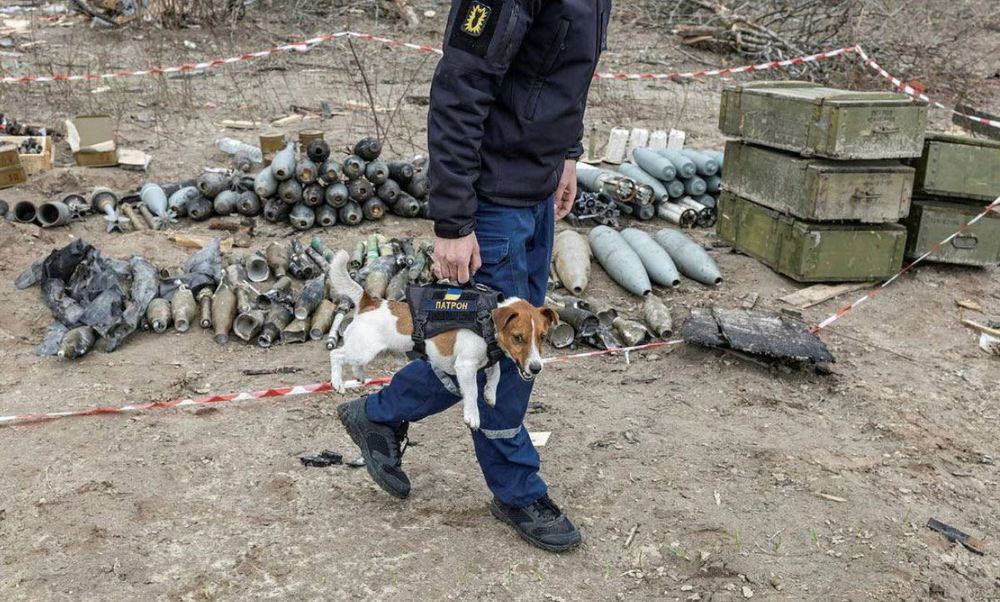 原來背帶是這樣使用(圖/翻攝自IG/patron_dsns)