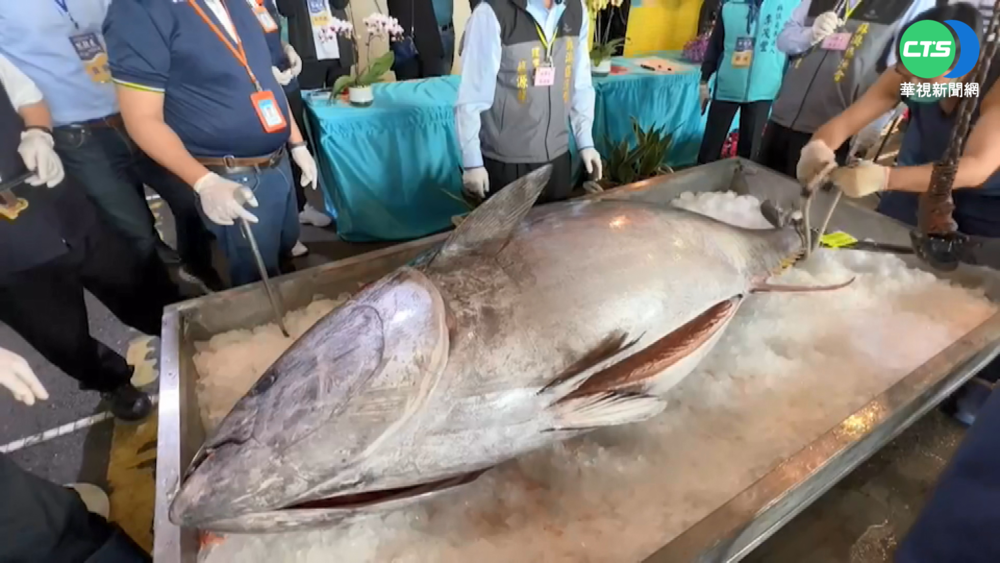南方澳第一鮪 今早每公斤7000元拍出