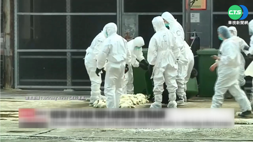 全球首例"禽傳人" 中國河南男童染H3N8