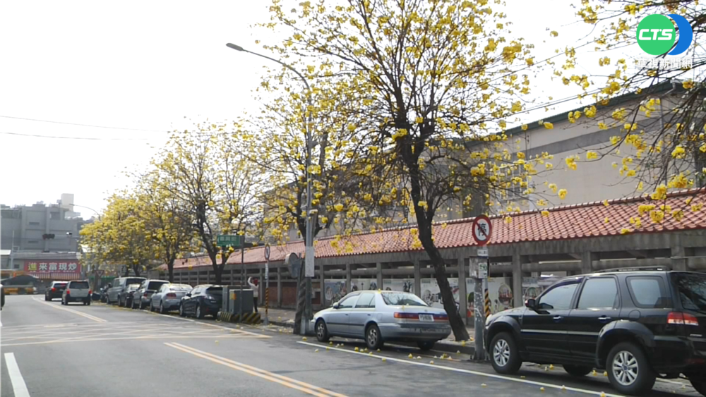 賞花美景的背後... 惡臭.車輛打滑.居民過敏