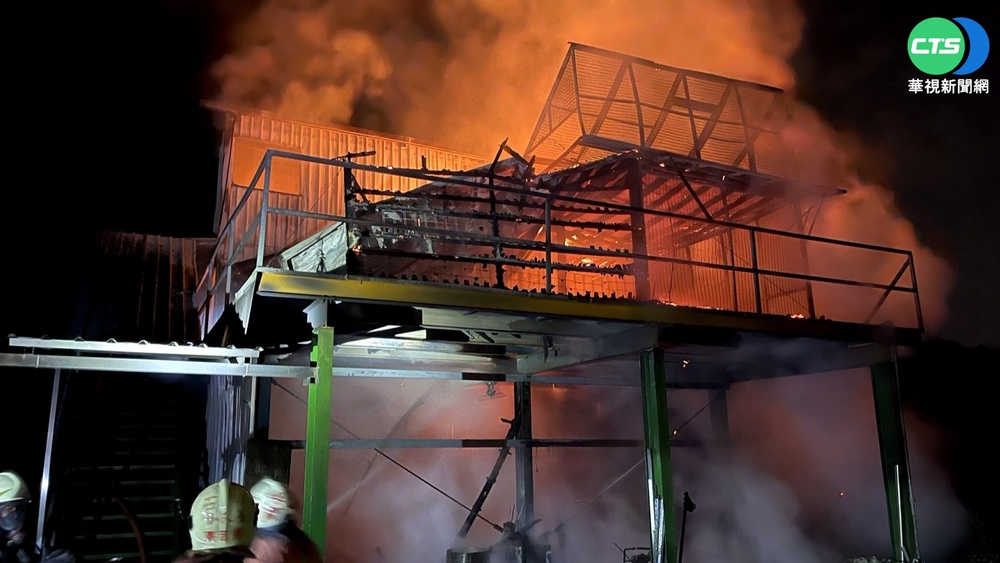 深坑鴿舍深夜惡火 近30鴿子全葬火窟