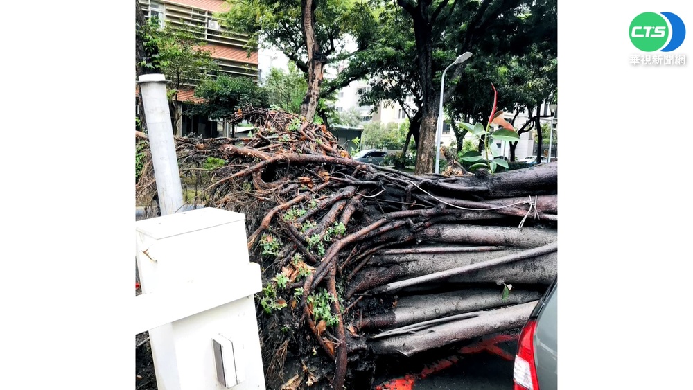 台南風大"吹斷"電桿 幸無砸中人車
