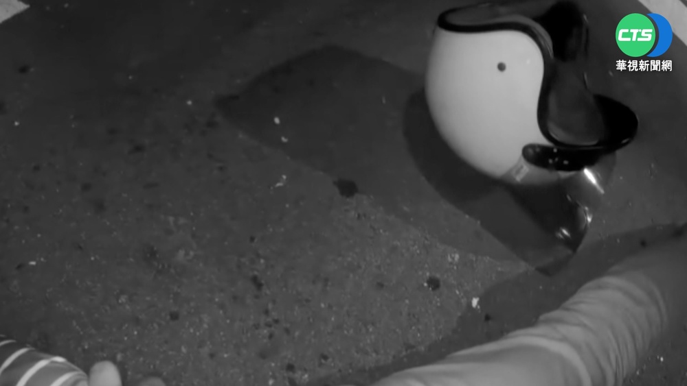 闖燈騎士持毒遭查獲 慌亂衝撞員警遭壓制