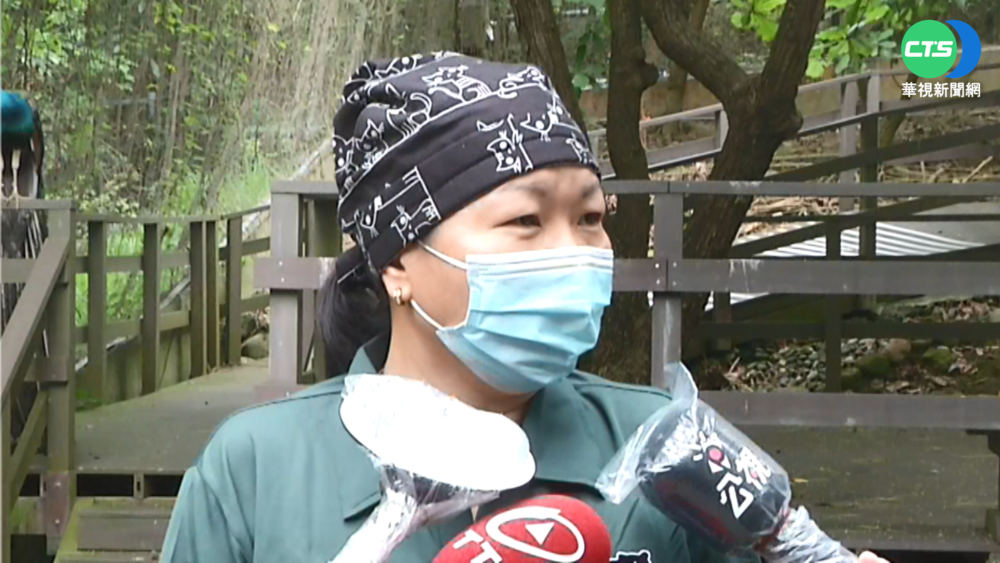 保育員辛苦了! 向"動物媽咪們"致敬