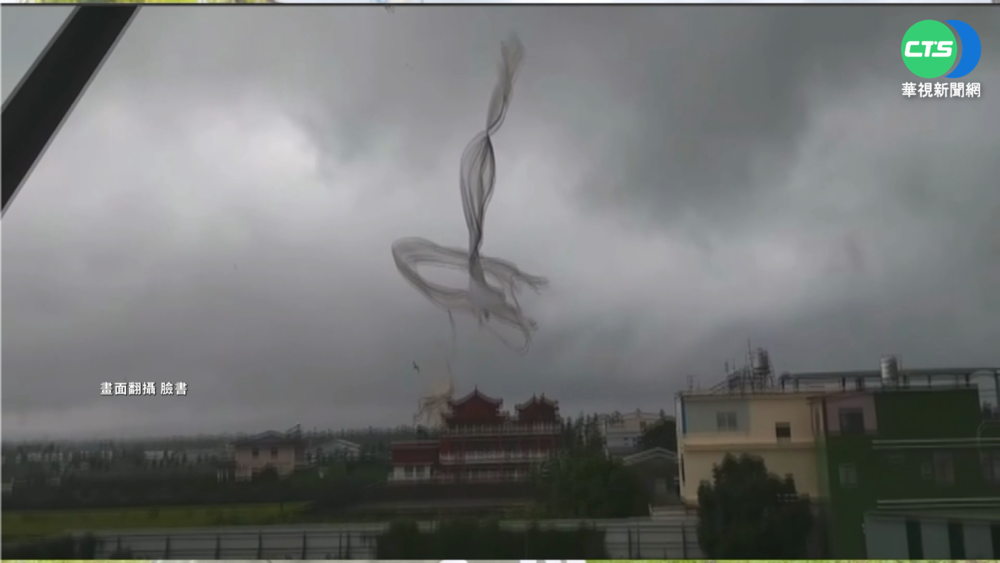 龍捲風作怪? 屏東里港香蕉樹倒 天降紗網