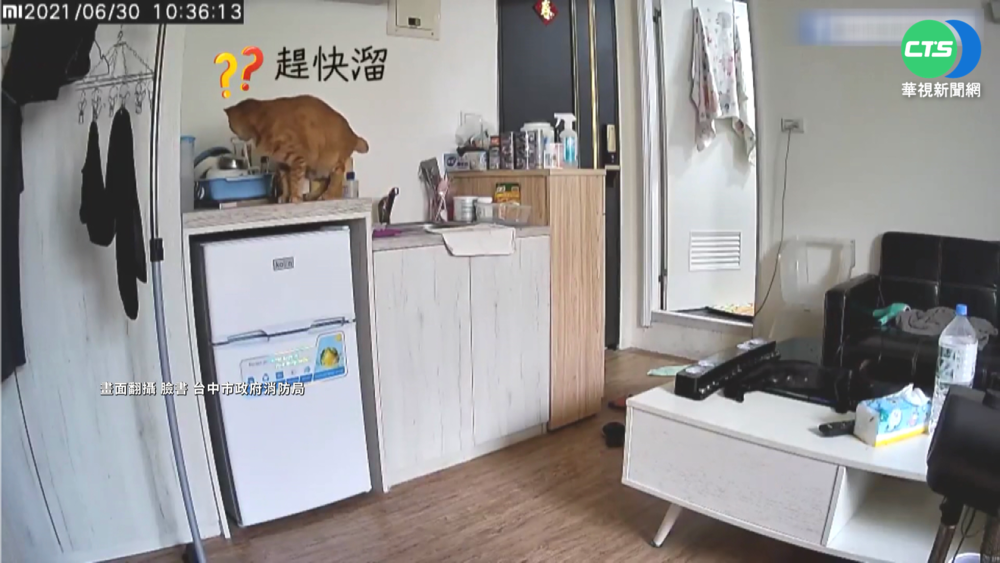 疑"寵物貓"誤觸電陶爐開關 險釀民宅火警