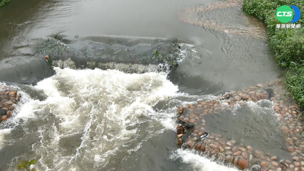 "大窠坑溪"翻身 河道營造展現全新風貌