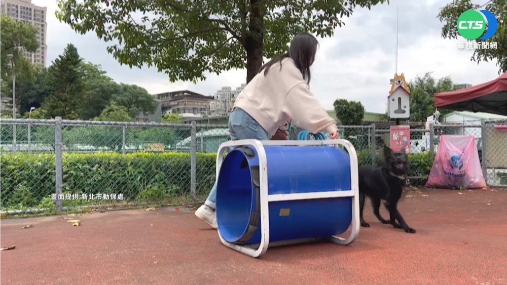 再興建5座! 新北寵物公園年底將達21座