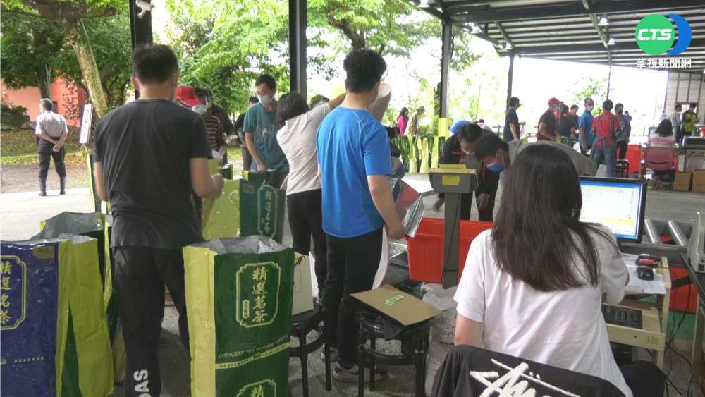 防境外茶魚目混珠 鹿谷春茶賽簽"生死狀"