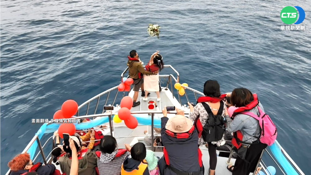 新人包賞鯨船辦婚禮 3種海豚輪番"祝福"