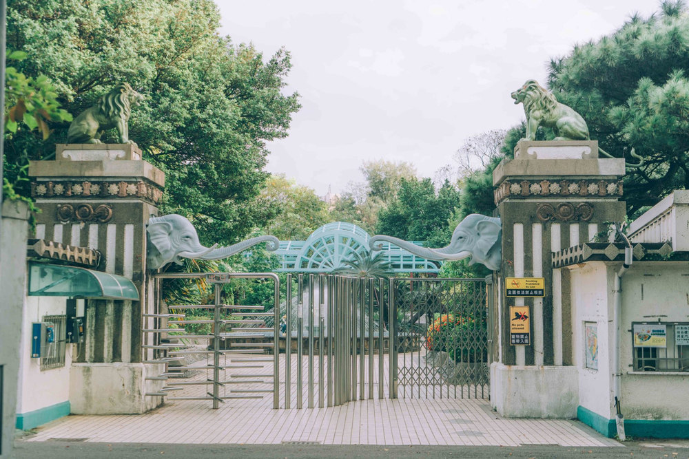 新竹市立動物園推認養卡！ 持卡一年內「免費入園」