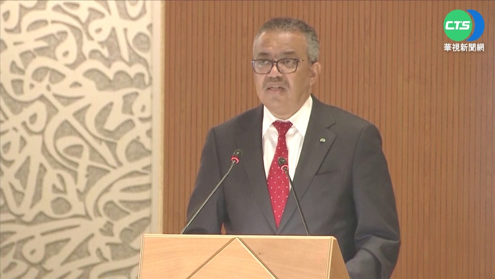 WHA駁台出席提案 我外交部"唾棄中國霸凌"