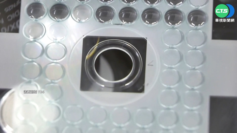 只要9分鐘! 日本開發全自動新冠檢測設備