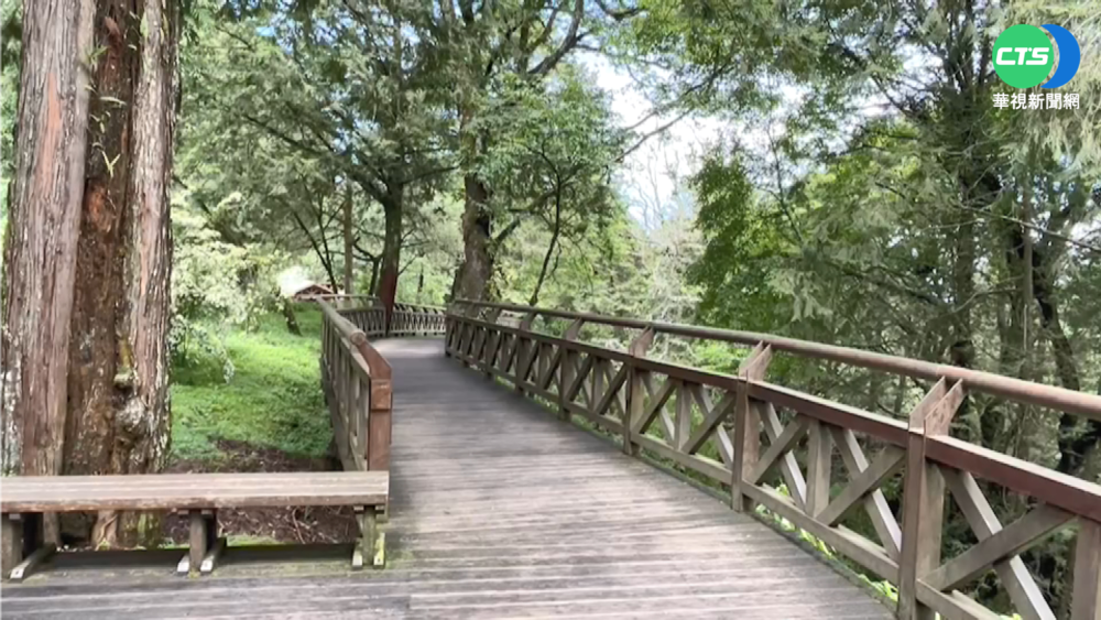 疫情衝擊! 阿里山遊樂區空蕩蕩 訂房剩2成