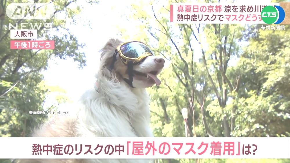 烈日火辣陽光! 5/29日本多地進入"猛暑日"