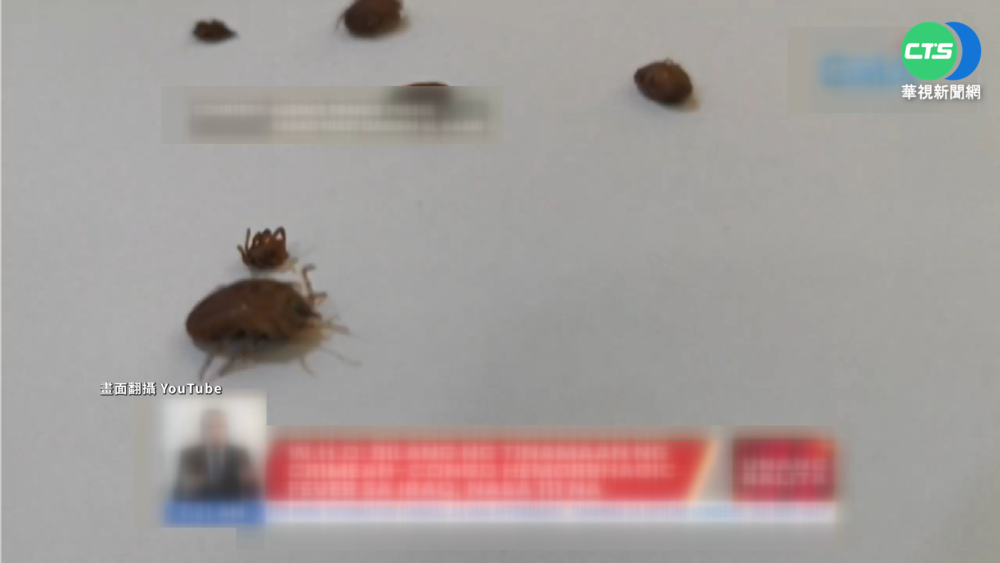 染"克里米亞剛果出血熱" 伊拉克19人死