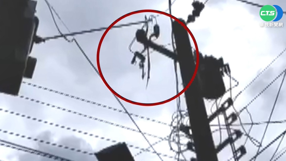 台南白河停電 疑飛蛇"從天降"惹禍