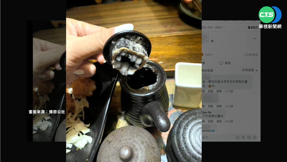 居酒屋醬油罐發霉長毛 店家道歉停業2周