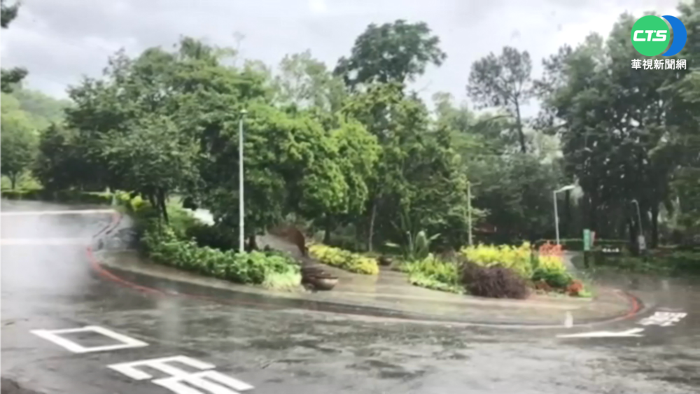 疫情+大雨攪局 東勢林場訂房退7成